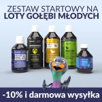 Zestaw VOLANTOR – na lot gołębi młodych